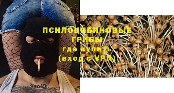 сатива Абдулино