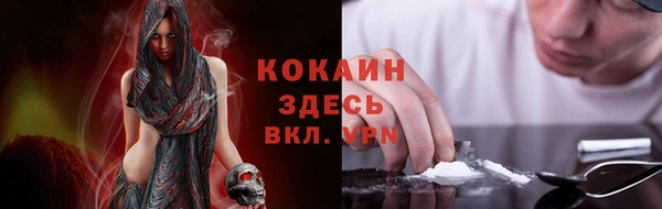 PSILOCYBIN Навашино