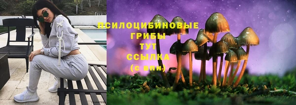 jwh Надым