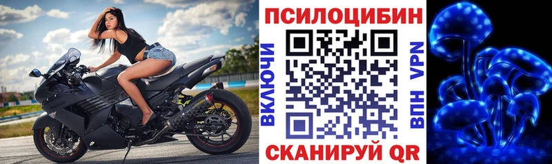 Галлюциногенные грибы GOLDEN TEACHER  Адыгейск 